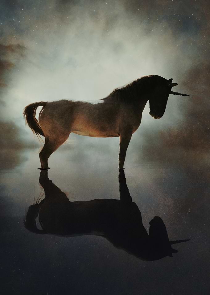 The Unicorn Reflected
