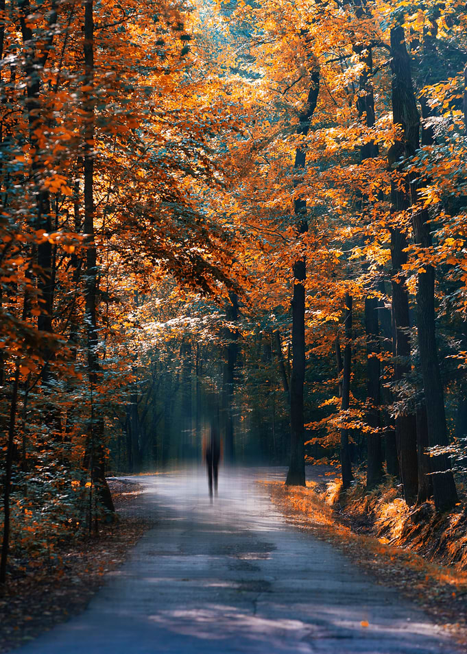 Autumn Forest Path with Figure