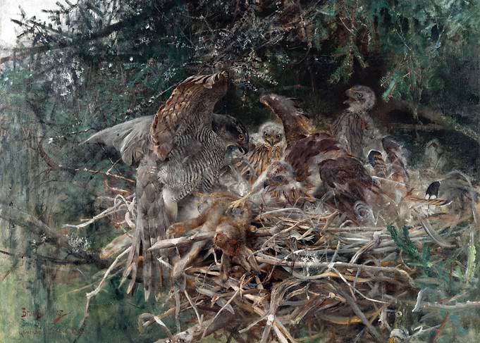 Hawk Family in Nest Painting