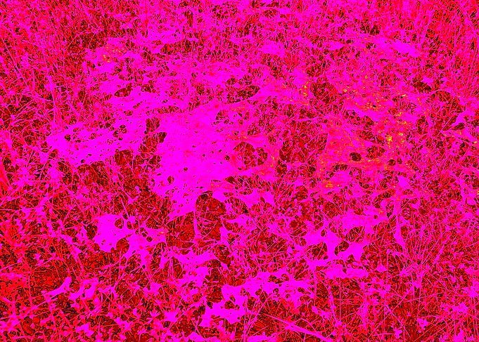 Abstract Pink and Red Texture