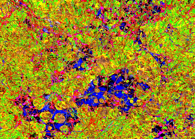 Abstract Colorful Network