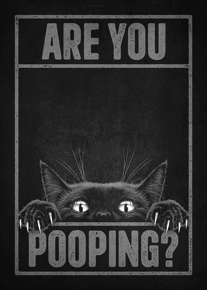 Are You Pooping? Black Cat Poster