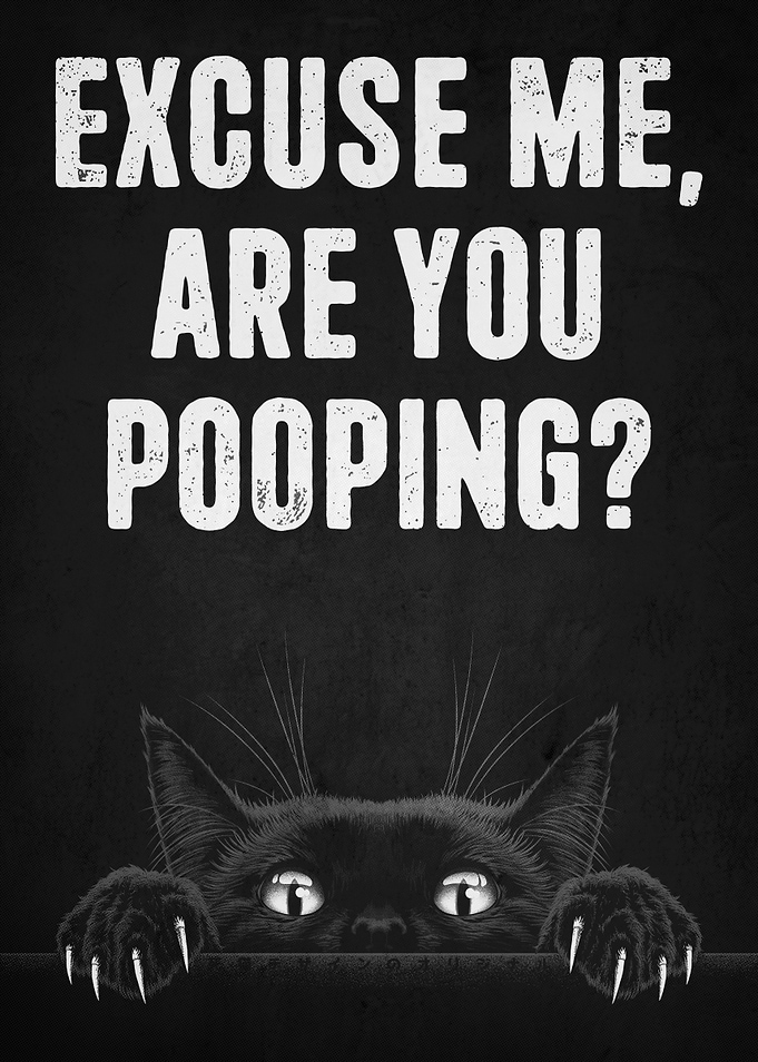 Excuse Me, Are You Pooping? Cat