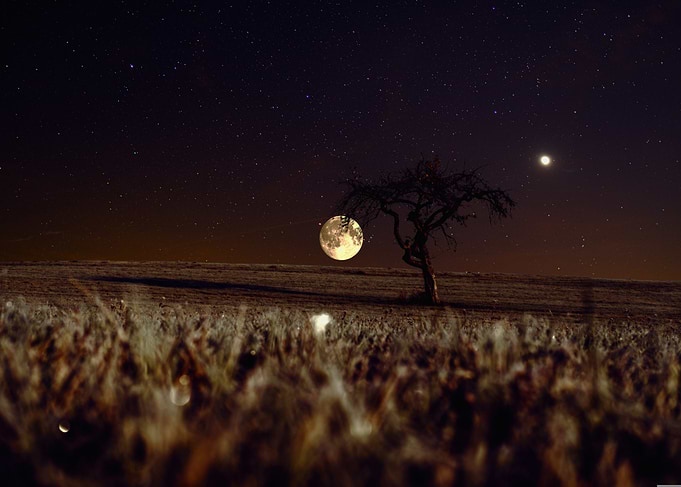 Night landscape with moon and tree