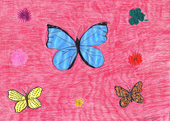 Butterfly Garden - Pink Paradise