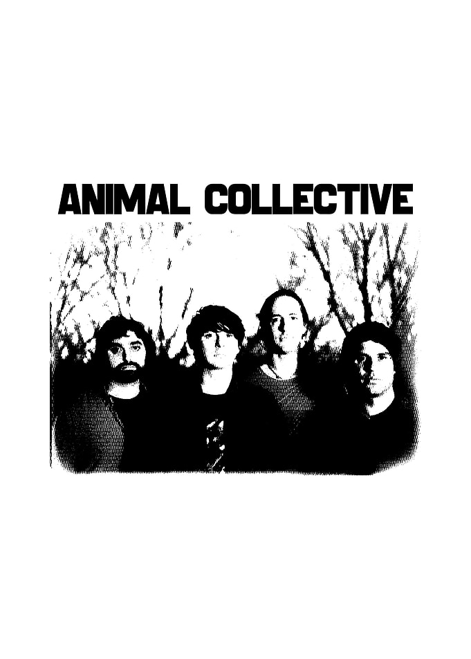 Animal Collective Band Photo