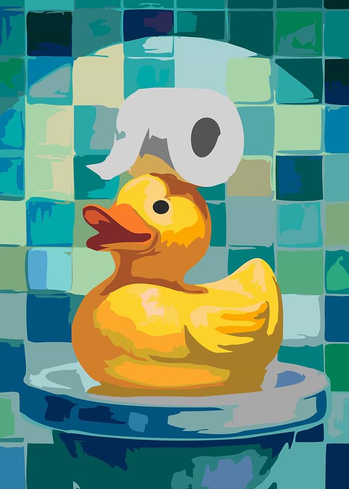 Rubber Duck with Toilet Paper