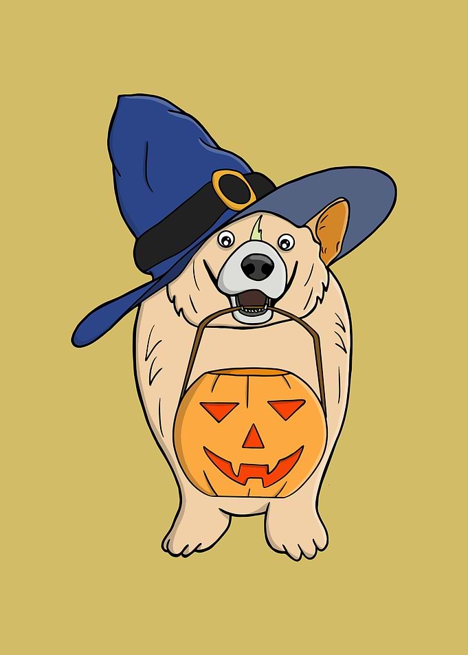 Corgi Witch with Pumpkin