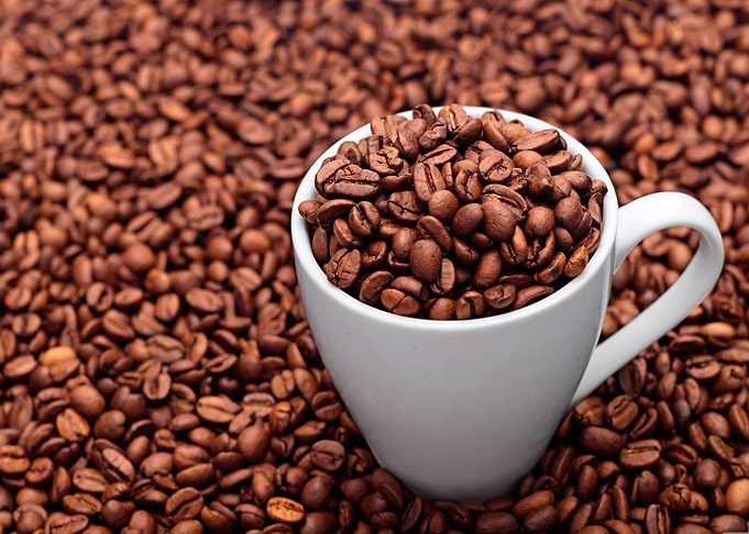Coffee Beans in a White Cup