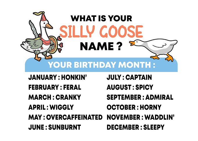 Silly Goose Name Birthday Chart