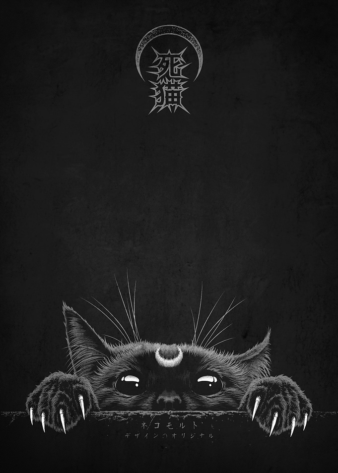 Cute Black Cat Peeking