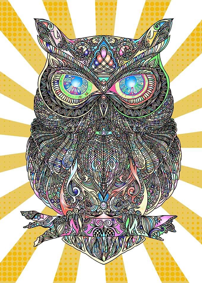 Colorful Psychedelic Owl Illustration