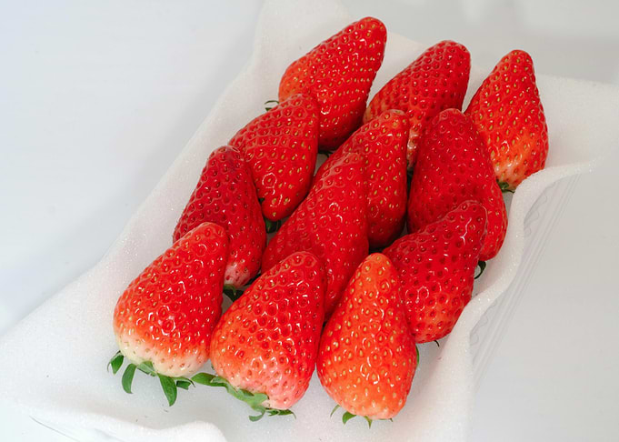 Fresh Strawberries in a White Container