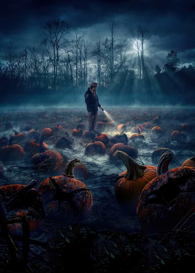 Man with Flashlight in Pumpkin Patch