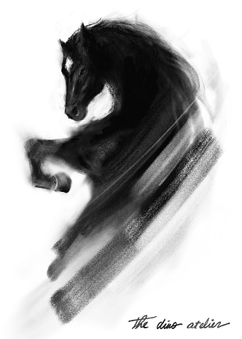 Black Horse Digital Art