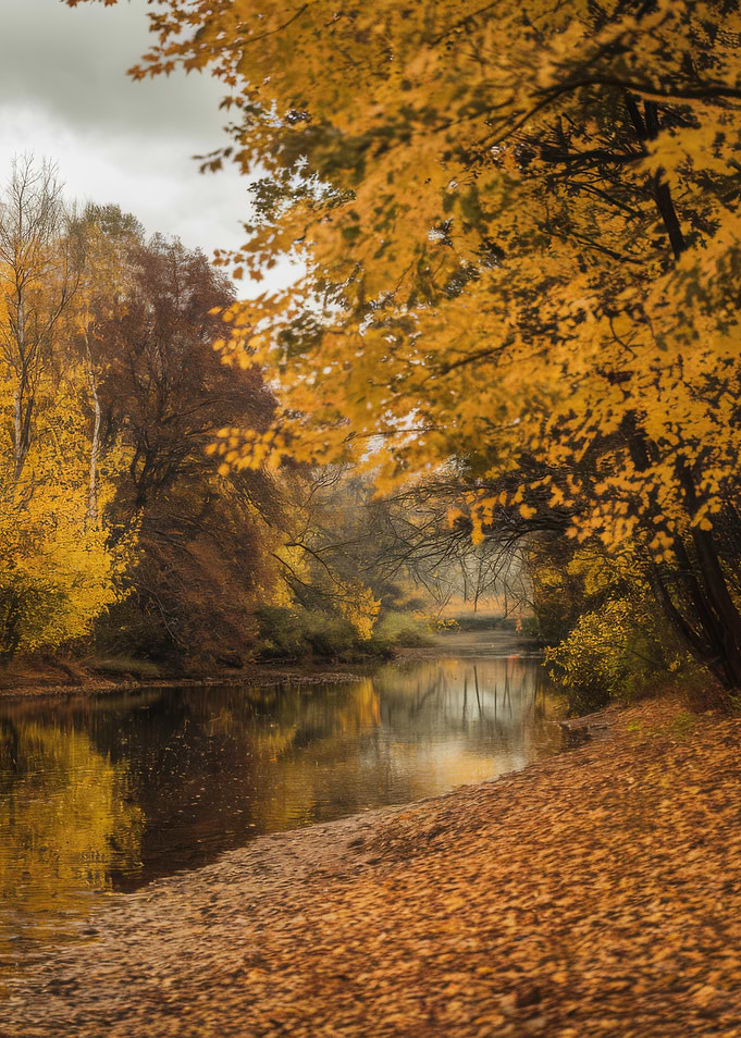Autumn River Landscape