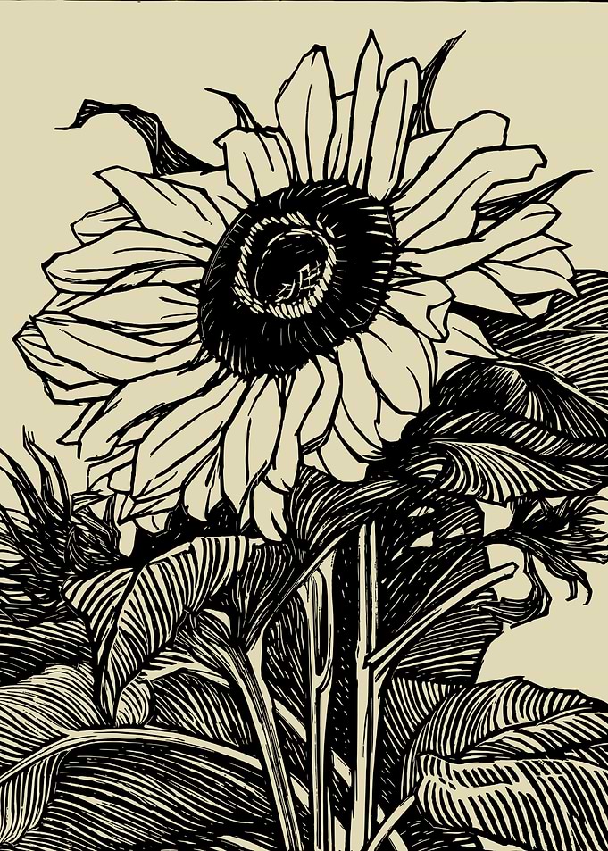 Sunflower linocut print