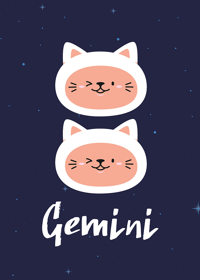 Gemini Zodiac Sign Cute Cat Illustration