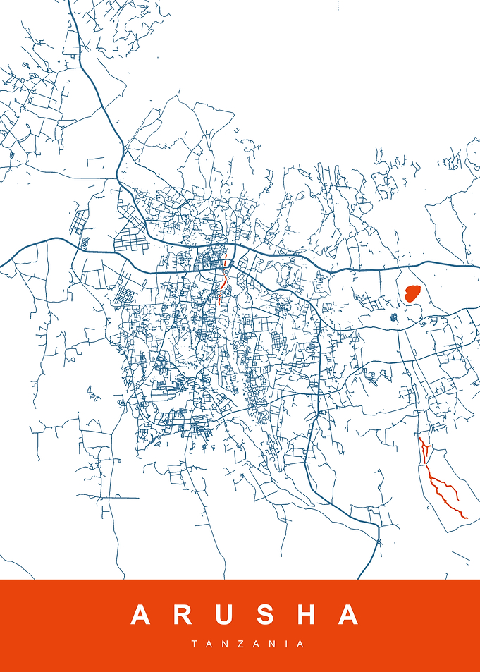 Arusha, Tanzania City Map Art
