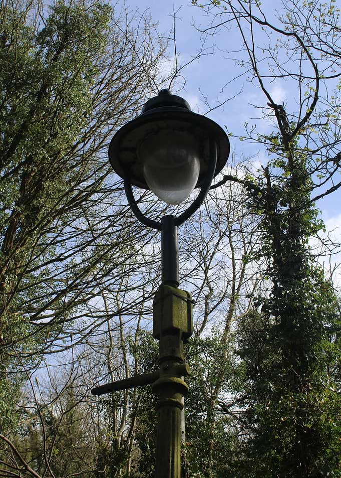 Vintage Street Lamp in Natural Setting