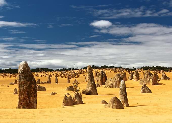 Pinnacles Desert: The Silent Assembly