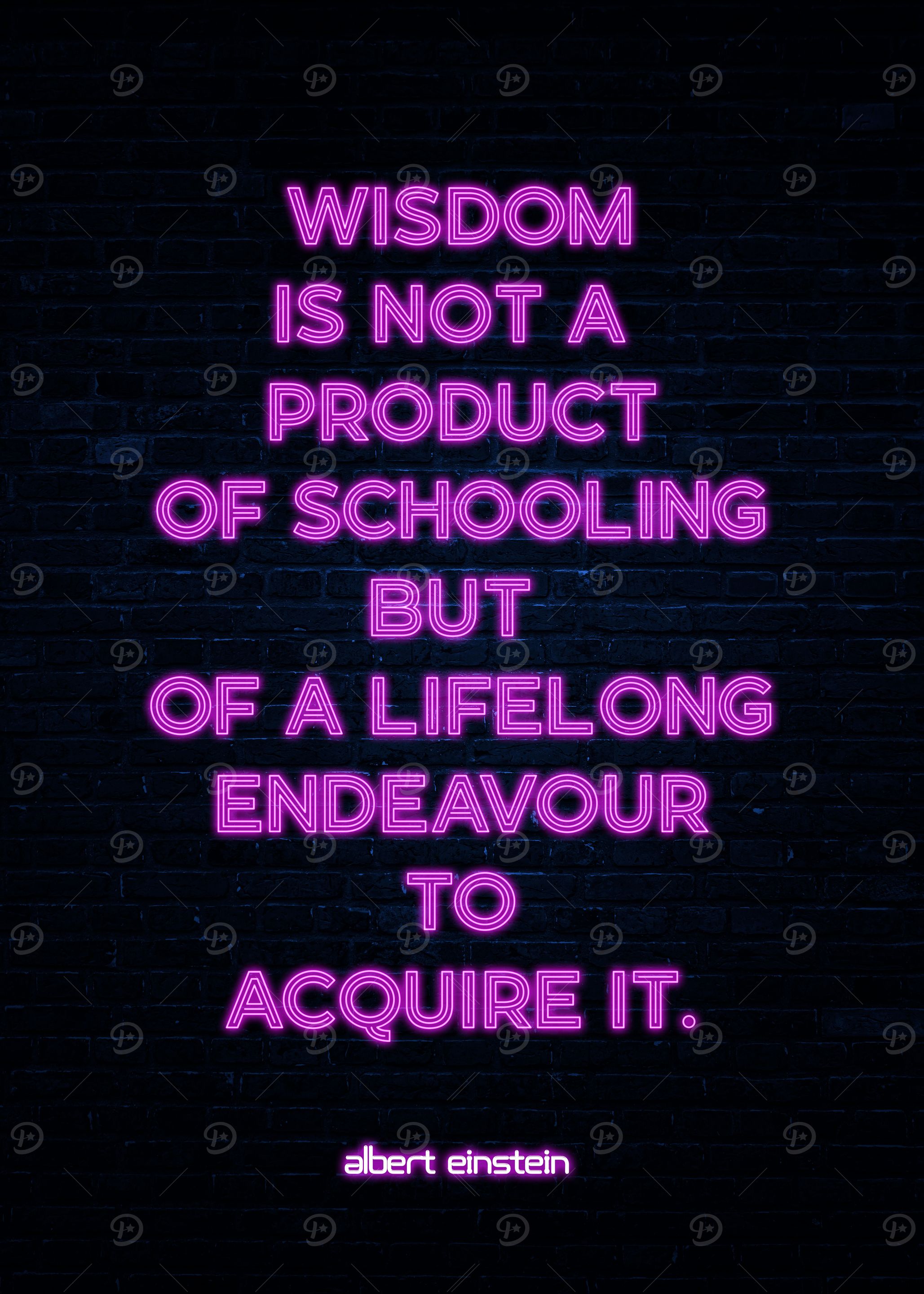 Wisdom Quote by Albert Einstein
