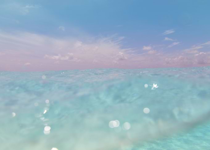 Dive into the Caribbean Sea 3