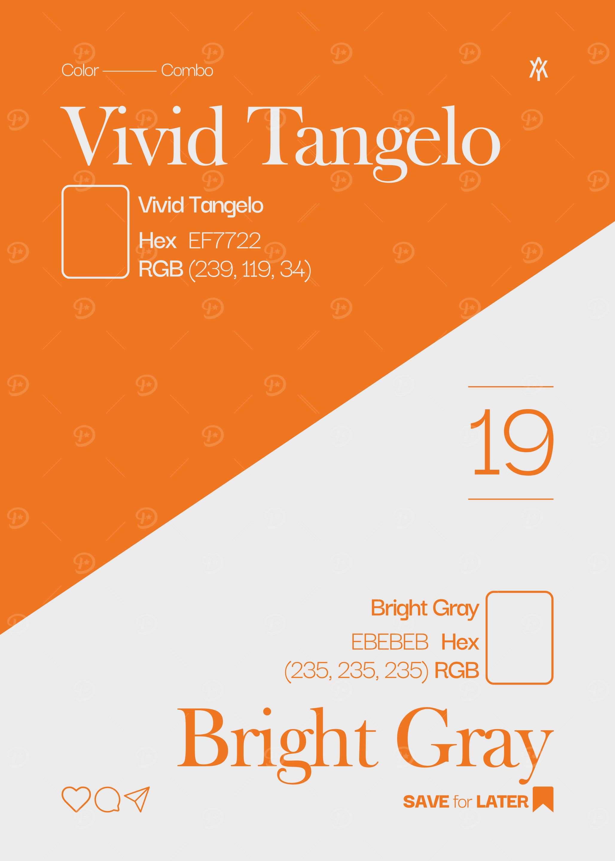 Vivid Tangelo and Bright Gray Color Palette