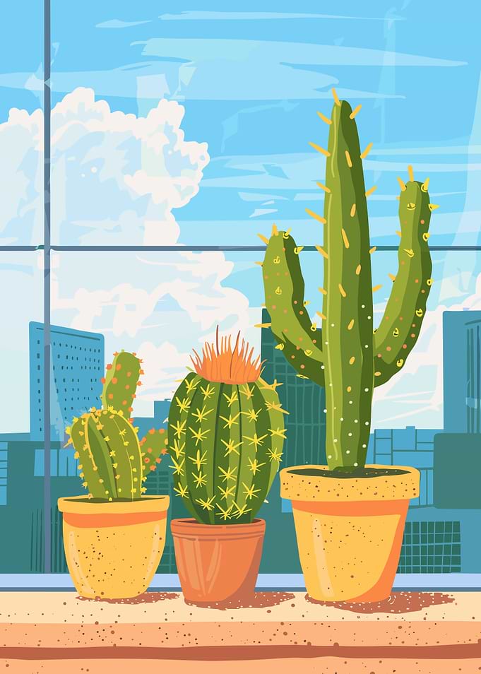 Cactus Plants in Pots with City View