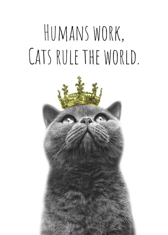 Cool Cat with Crown