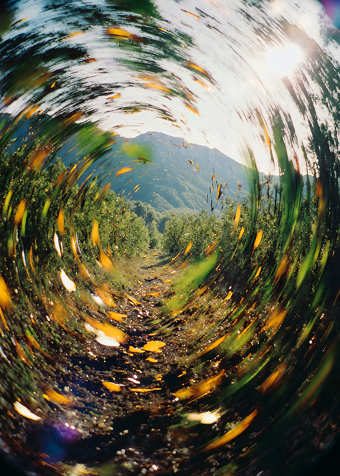 Swirling Mountain Path