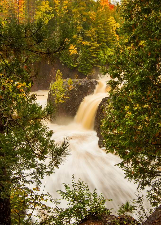 Copper Falls Through Trees