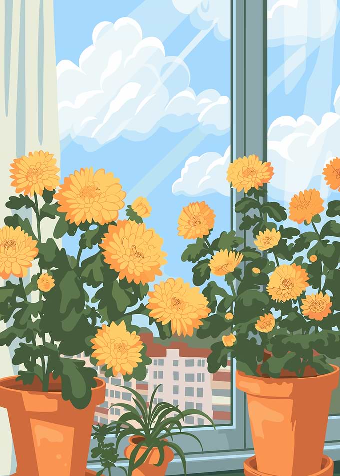Flowers by the Window