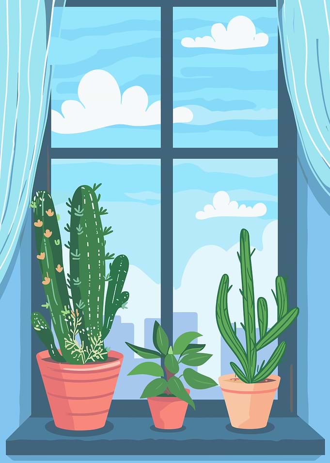 Window with plants and sky view