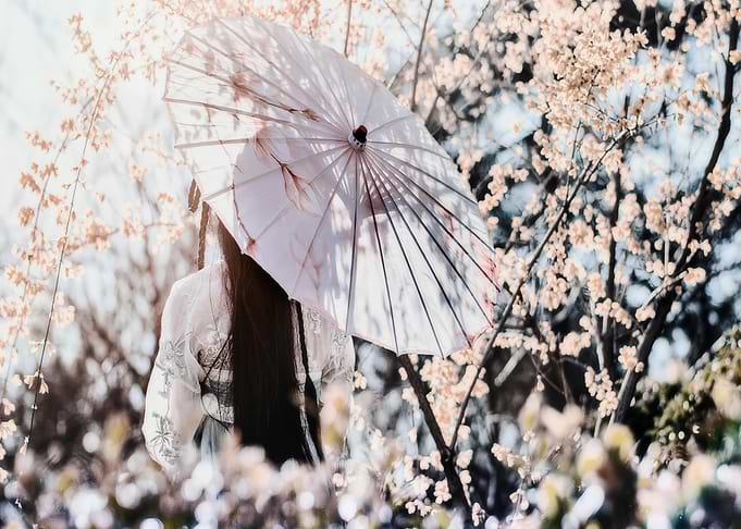 Woman with Umbrella in Blossom Garden