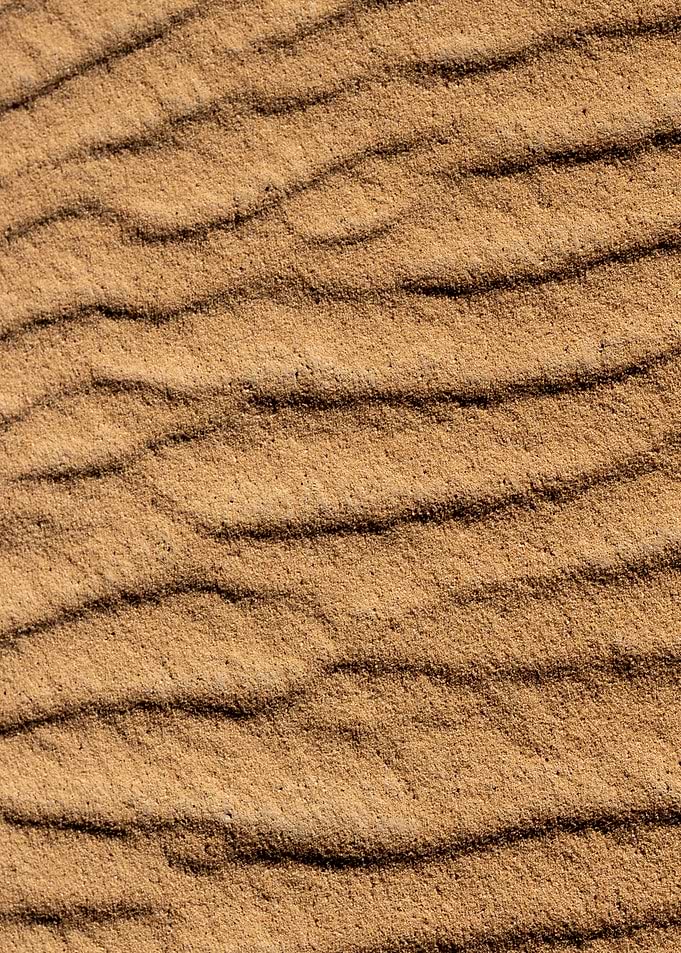 Sand Dunes Texture