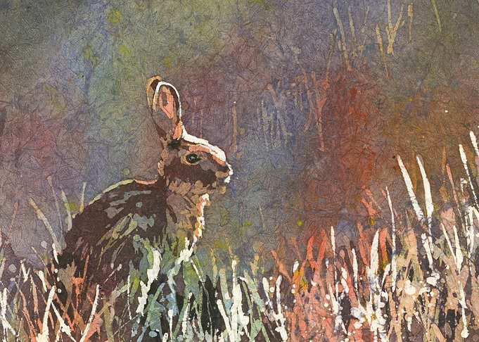 Watercolor Hare in Field Landscape Art