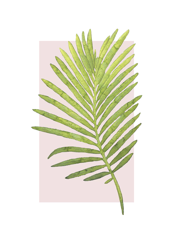 Watercolor Palm Leaf on Pink Background