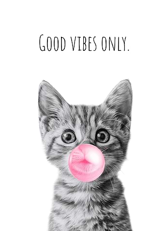 Cool Cat with bubblegum