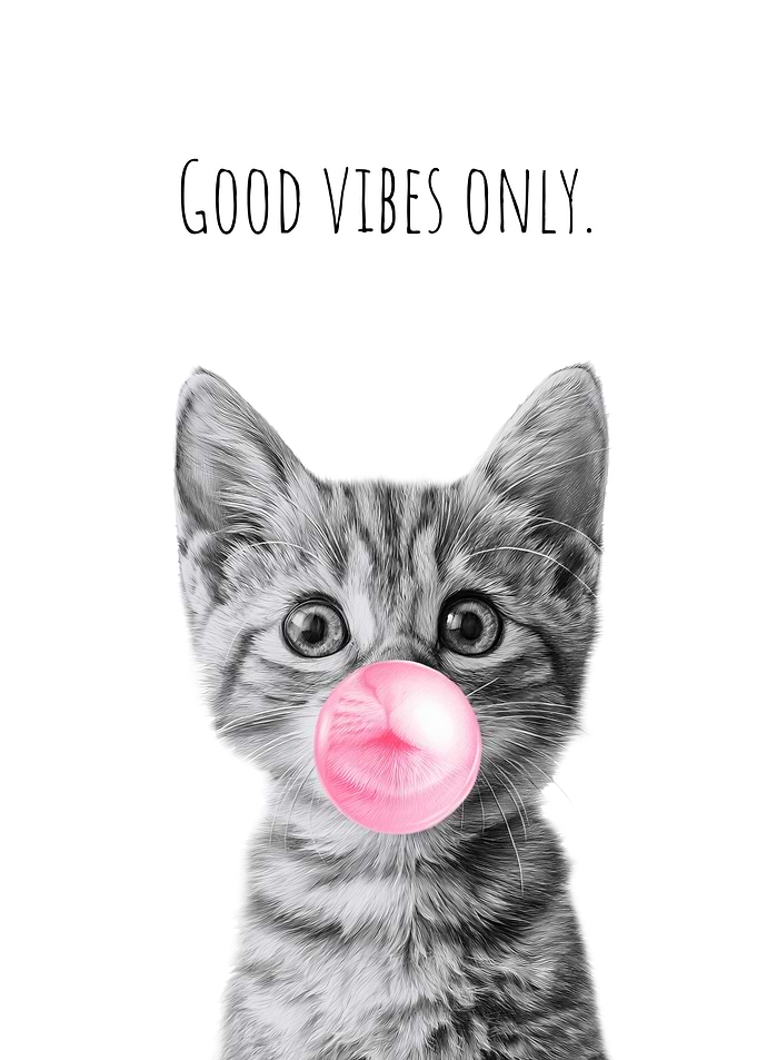 Cool Cat with bubblegum