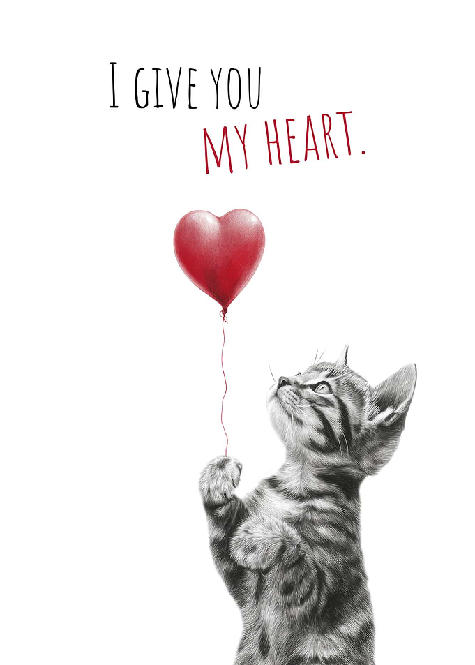 True cat love