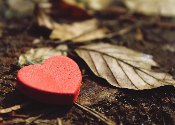 Red Heart on Forest Floor