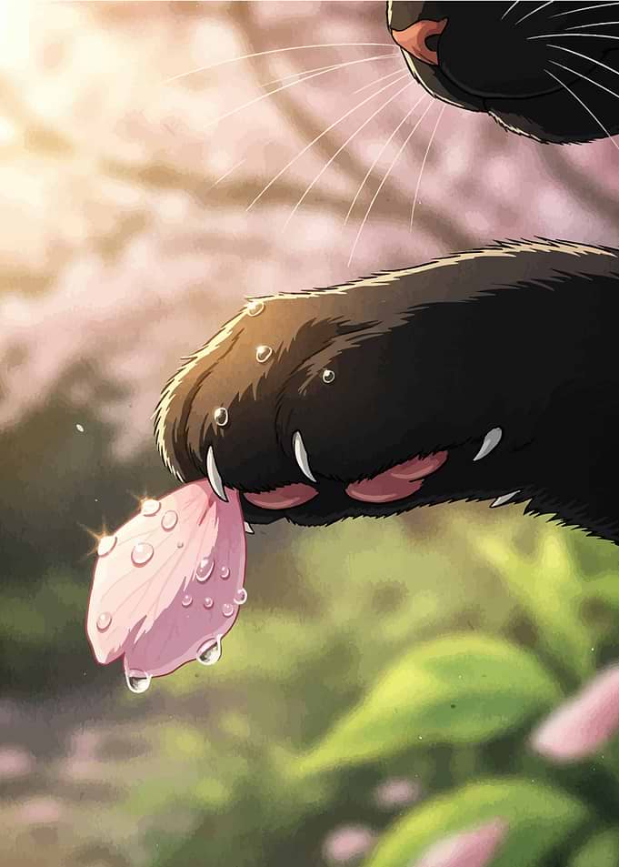 Black Cat with Flower Petal