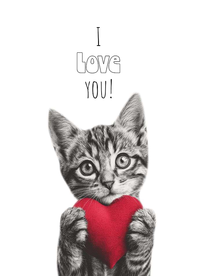 Cute Kitten I love you