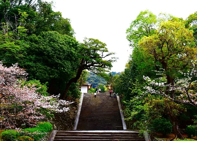 Stone Stairway to Japanese Temple