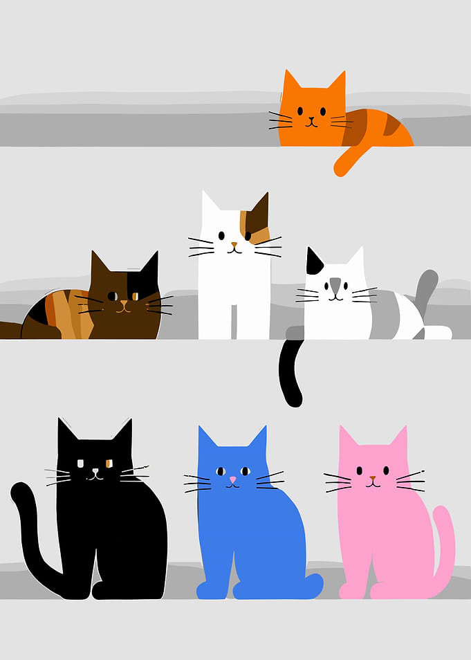 Colorful Cats on Shelves Illustration