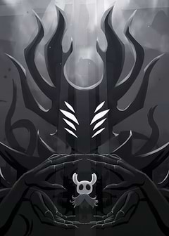 Hollow Knight: The Void Entity