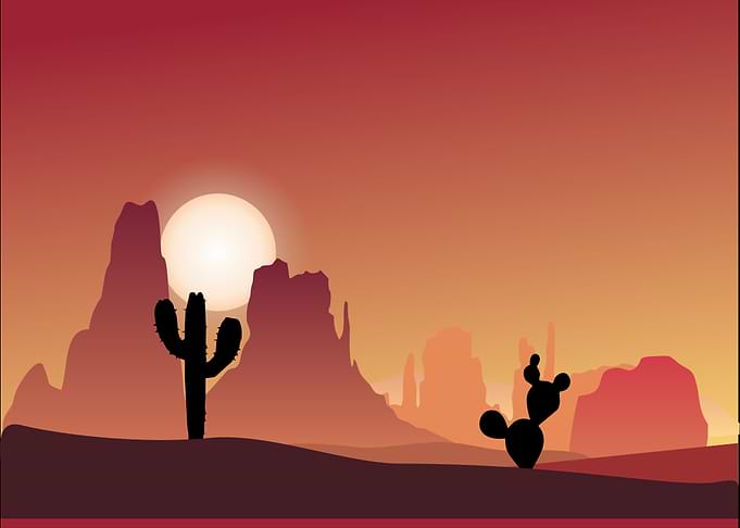 Desert Sunset with Cacti Silhouette