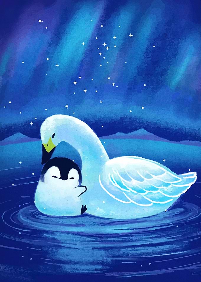Swan and Penguin Under Aurora