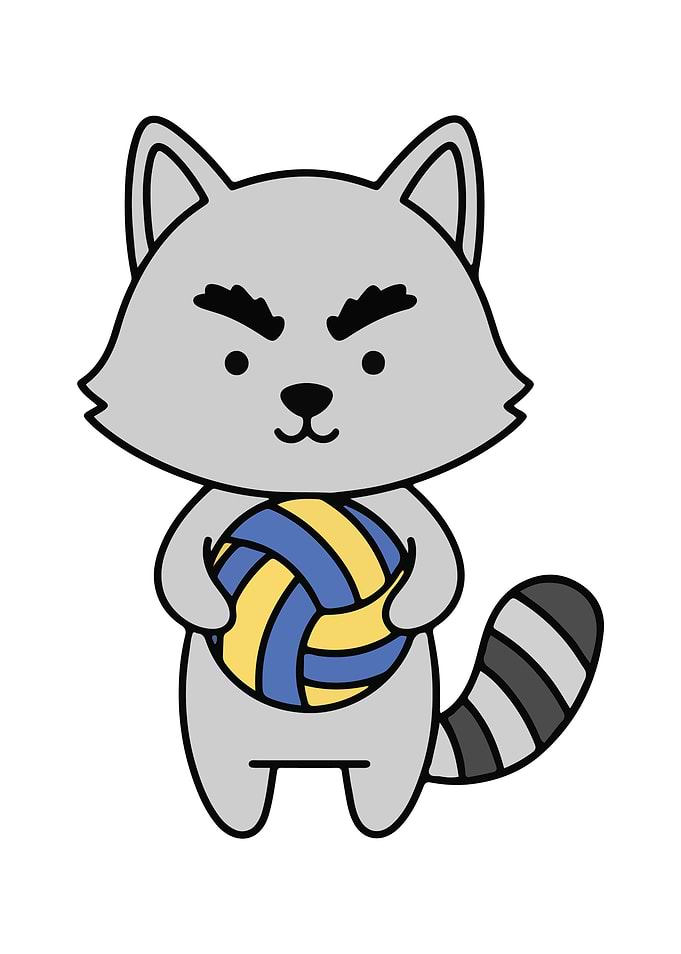 Cartoon Raccoon Holding Volleyball